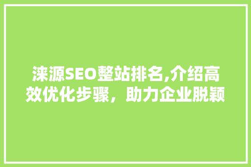 涞源SEO整站排名,介绍高效优化步骤，助力企业脱颖而出