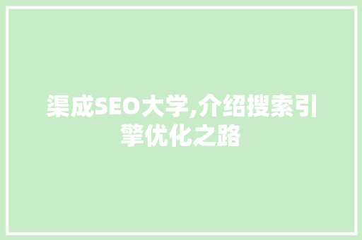 渠成SEO大学,介绍搜索引擎优化之路