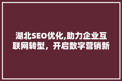 湖北SEO优化,助力企业互联网转型，开启数字营销新时代
