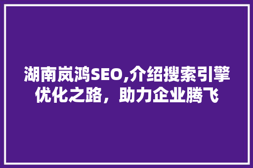 湖南岚鸿SEO,介绍搜索引擎优化之路，助力企业腾飞