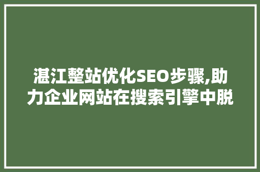 湛江整站优化SEO步骤,助力企业网站在搜索引擎中脱颖而出