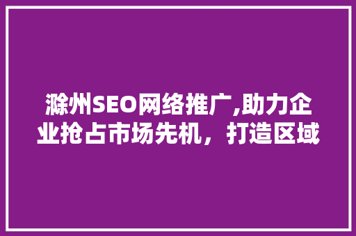 滁州SEO网络推广,助力企业抢占市场先机，打造区域品牌影响力