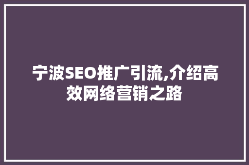 宁波SEO推广引流,介绍高效网络营销之路