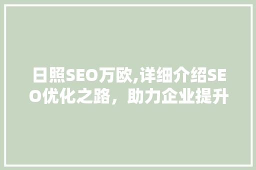 日照SEO万欧,详细介绍SEO优化之路，助力企业提升网络竞争力