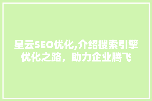 星云SEO优化,介绍搜索引擎优化之路，助力企业腾飞