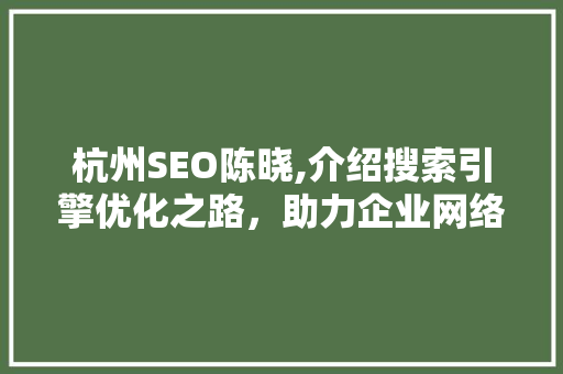 杭州SEO陈晓,介绍搜索引擎优化之路，助力企业网络营销