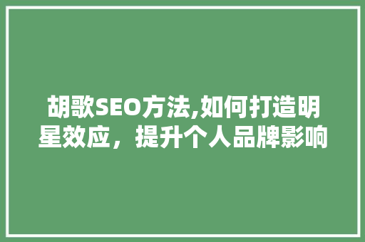 胡歌SEO方法,如何打造明星效应，提升个人品牌影响力