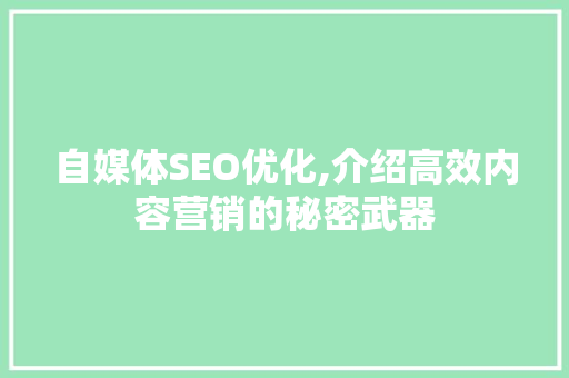 自媒体SEO优化,介绍高效内容营销的秘密武器