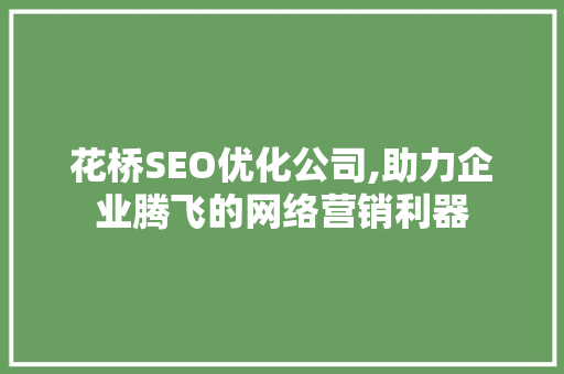 花桥SEO优化公司,助力企业腾飞的网络营销利器