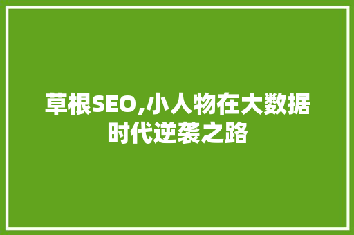 草根SEO,小人物在大数据时代逆袭之路