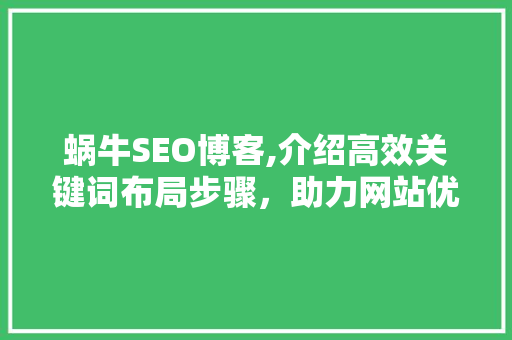 蜗牛SEO博客,介绍高效关键词布局步骤，助力网站优化之路