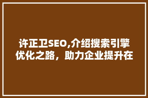 许正卫SEO,介绍搜索引擎优化之路，助力企业提升在线竞争力