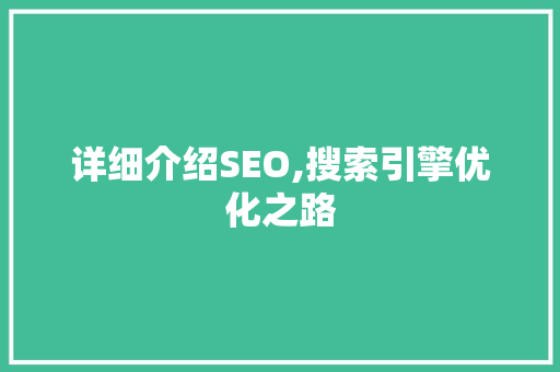 详细介绍SEO,搜索引擎优化之路