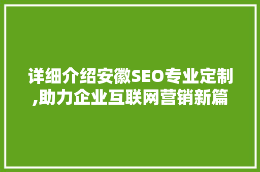 详细介绍安徽SEO专业定制,助力企业互联网营销新篇章
