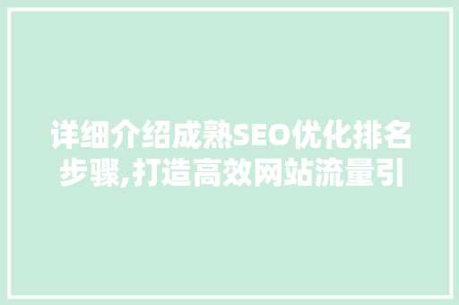 详细介绍成熟SEO优化排名步骤,打造高效网站流量引擎