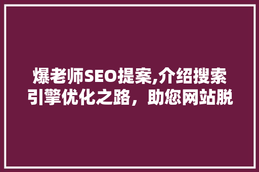 爆老师SEO提案,介绍搜索引擎优化之路，助您网站脱颖而出