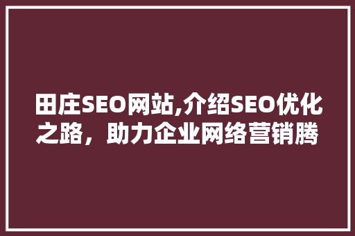 田庄SEO网站,介绍SEO优化之路，助力企业网络营销腾飞