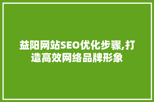 益阳网站SEO优化步骤,打造高效网络品牌形象