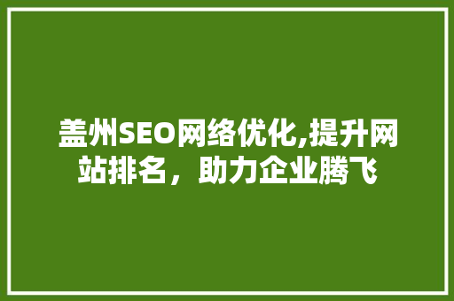 盖州SEO网络优化,提升网站排名，助力企业腾飞