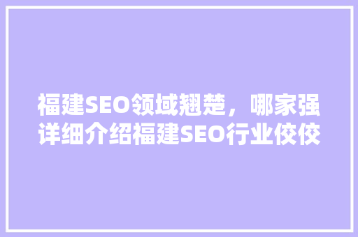 福建SEO领域翘楚，哪家强详细介绍福建SEO行业佼佼者