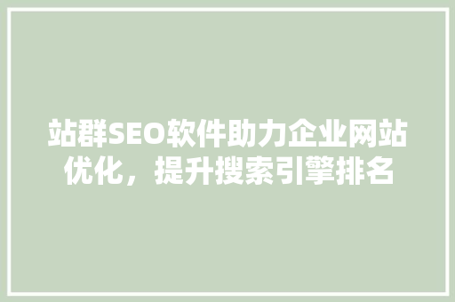 站群SEO软件助力企业网站优化，提升搜索引擎排名