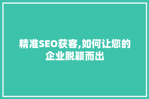 精准SEO获客,如何让您的企业脱颖而出