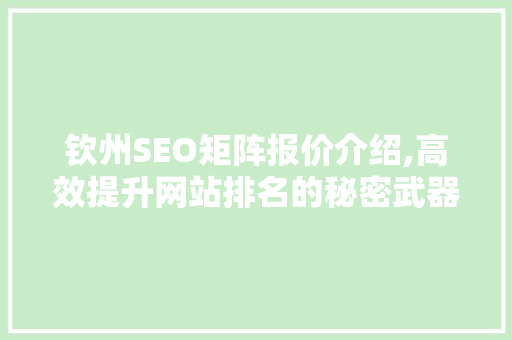 钦州SEO矩阵报价介绍,高效提升网站排名的秘密武器