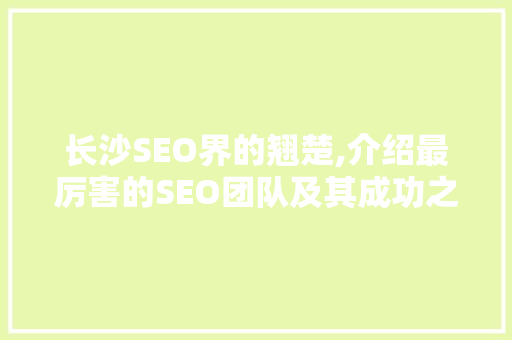 长沙SEO界的翘楚,介绍最厉害的SEO团队及其成功之路