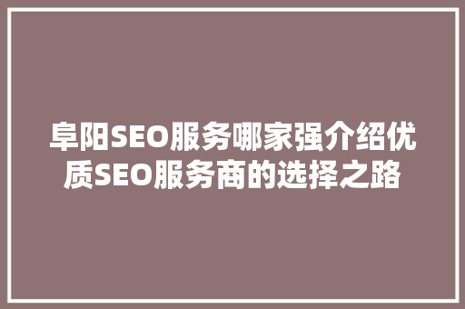 阜阳SEO服务哪家强介绍优质SEO服务商的选择之路