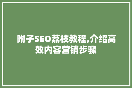 附子SEO荔枝教程,介绍高效内容营销步骤
