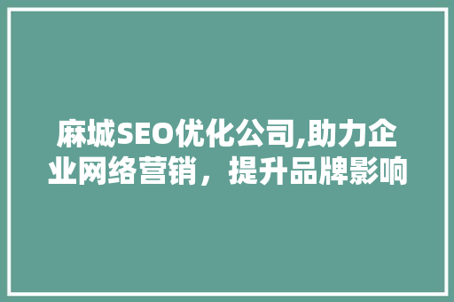 麻城SEO优化公司,助力企业网络营销，提升品牌影响力