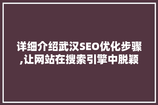 详细介绍武汉SEO优化步骤,让网站在搜索引擎中脱颖而出