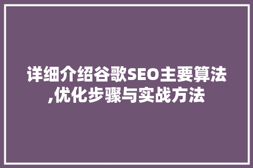 详细介绍谷歌SEO主要算法,优化步骤与实战方法