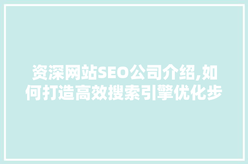 资深网站SEO公司介绍,如何打造高效搜索引擎优化步骤