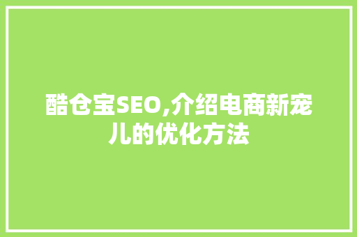 酷仓宝SEO,介绍电商新宠儿的优化方法