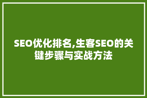 SEO优化排名,生客SEO的关键步骤与实战方法