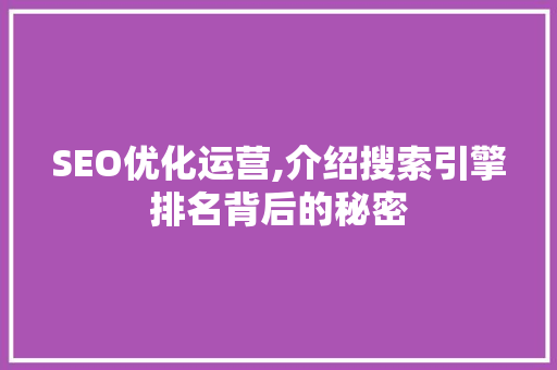 SEO优化运营,介绍搜索引擎排名背后的秘密
