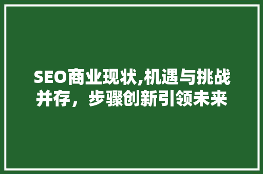 SEO商业现状,机遇与挑战并存，步骤创新引领未来
