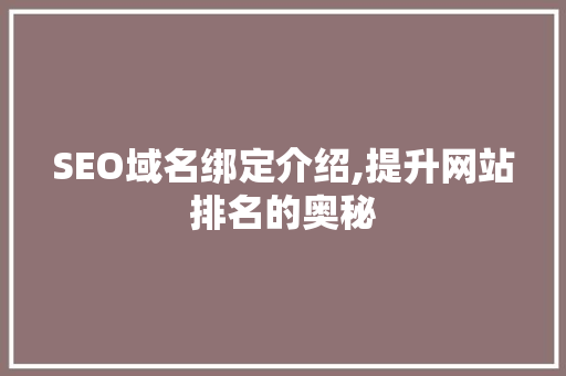SEO域名绑定介绍,提升网站排名的奥秘
