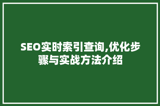 SEO实时索引查询,优化步骤与实战方法介绍