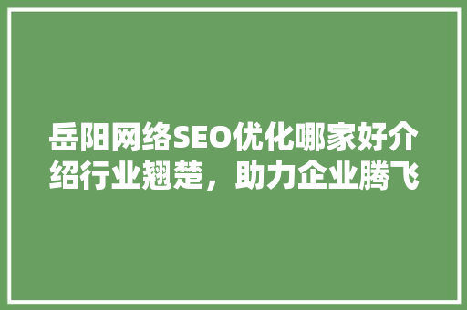岳阳网络SEO优化哪家好介绍行业翘楚，助力企业腾飞
