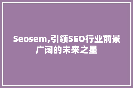 Seosem,引领SEO行业前景广阔的未来之星