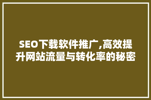 SEO下载软件推广,高效提升网站流量与转化率的秘密武器