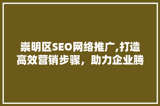 崇明区SEO网络推广,打造高效营销步骤，助力企业腾飞