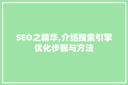 SEO之精华,介绍搜索引擎优化步骤与方法
