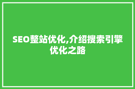 SEO整站优化,介绍搜索引擎优化之路