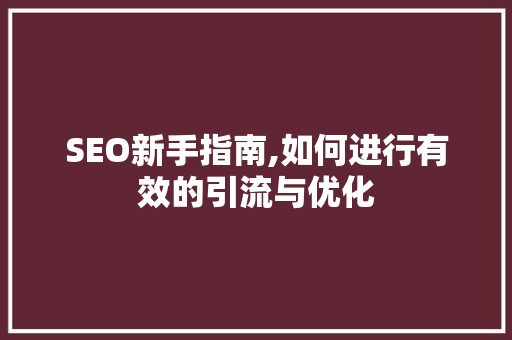 SEO新手指南,如何进行有效的引流与优化