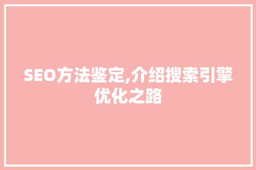 SEO方法鉴定,介绍搜索引擎优化之路