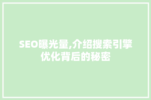 SEO曝光量,介绍搜索引擎优化背后的秘密