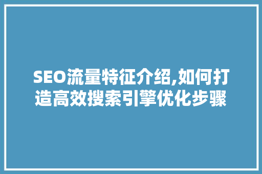 SEO流量特征介绍,如何打造高效搜索引擎优化步骤